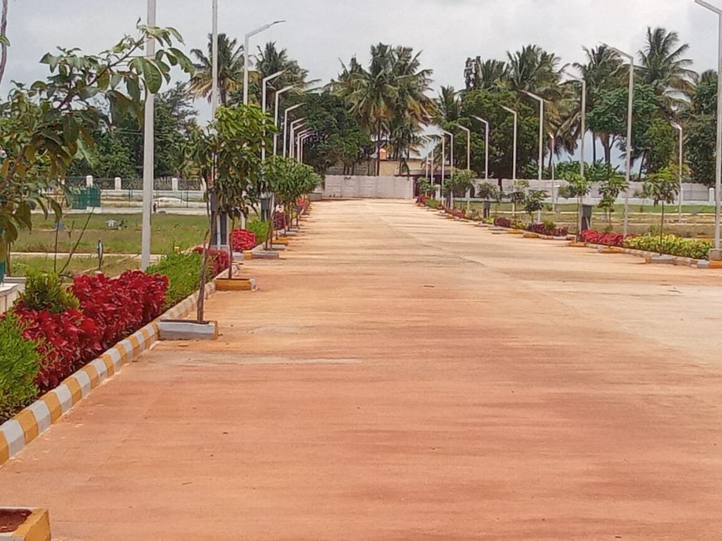 Development Zone