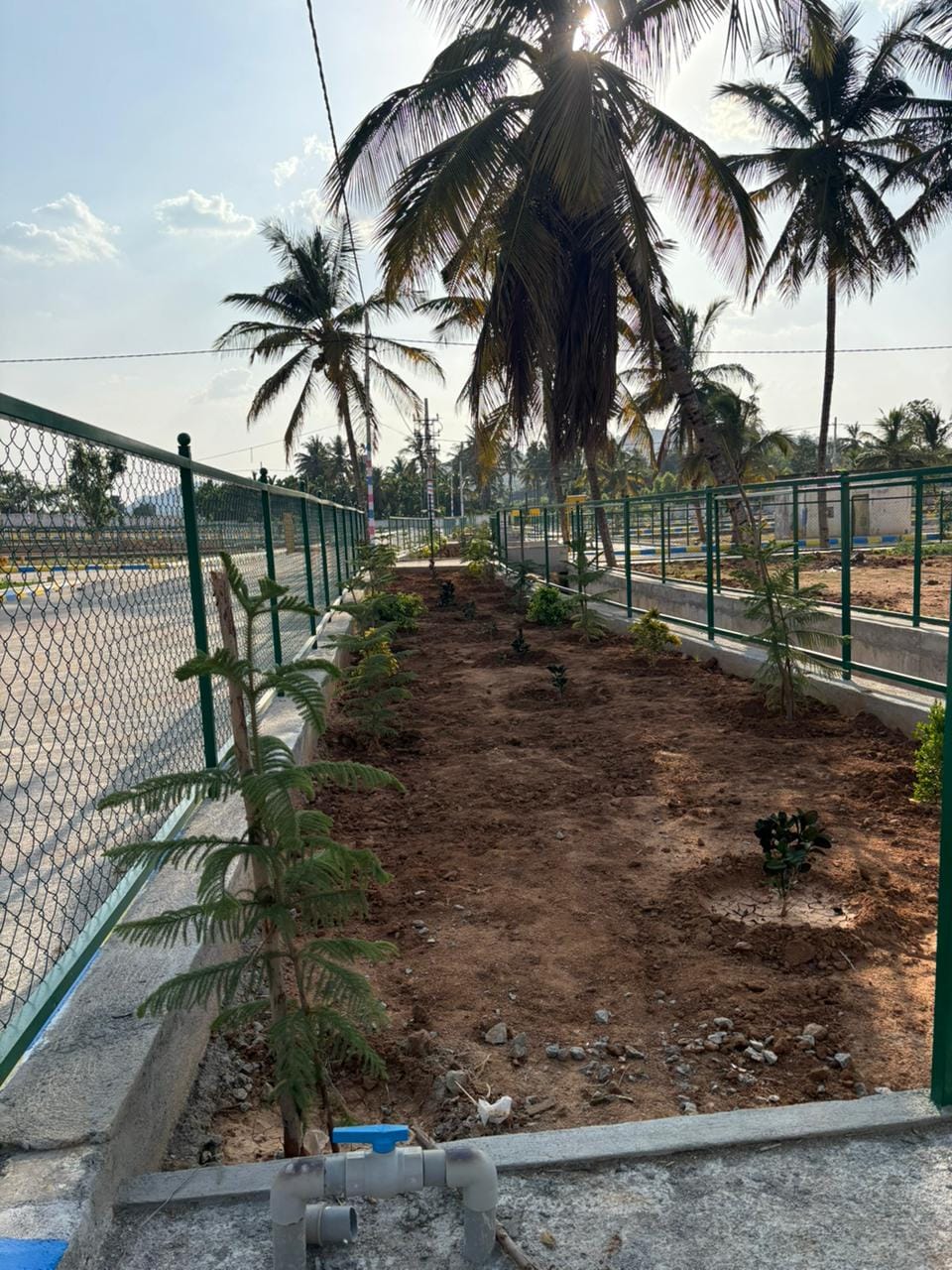 Green Area