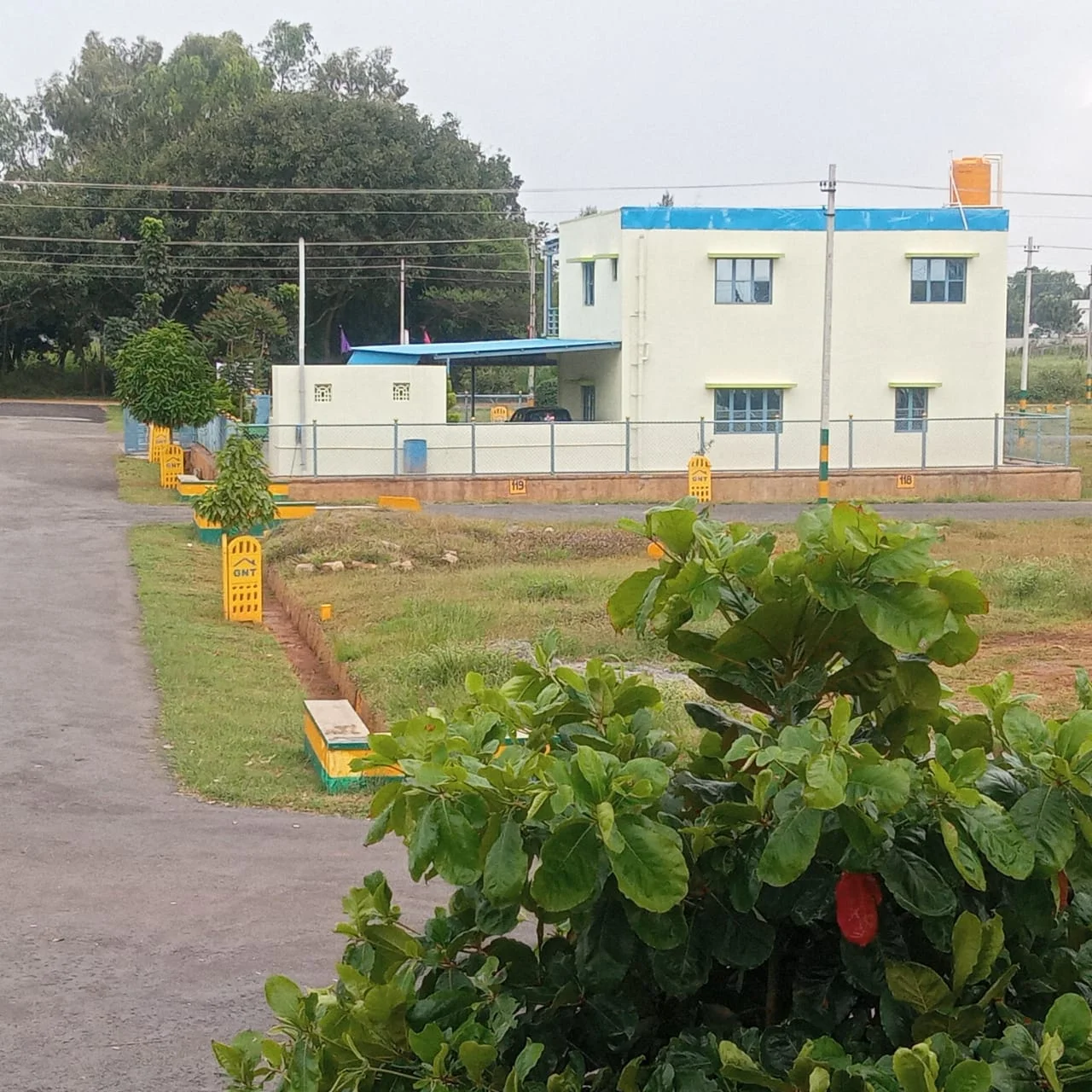 Plot