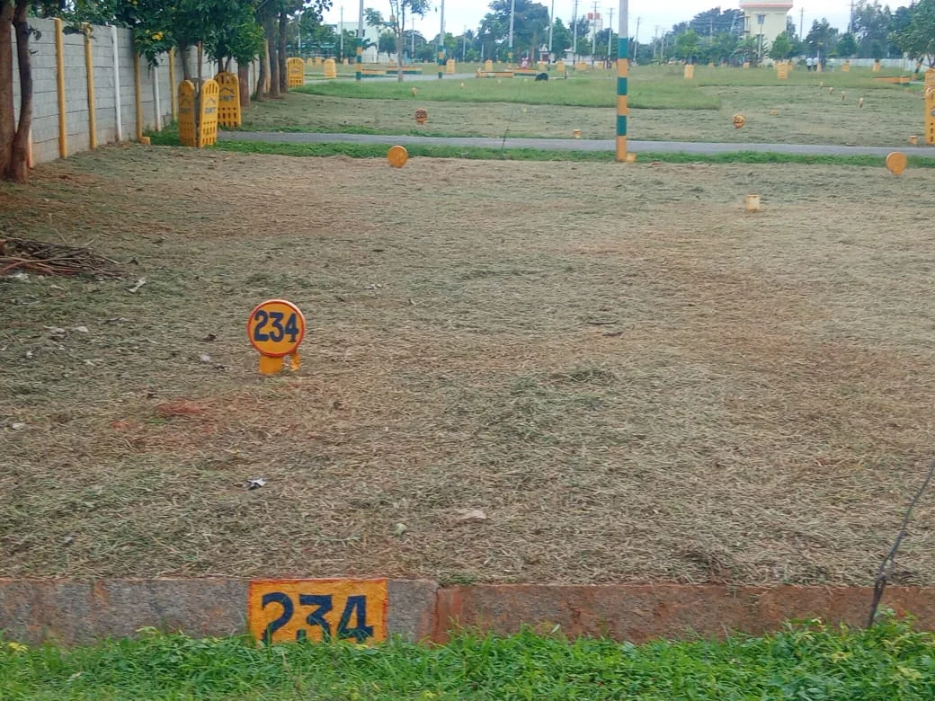 Plot