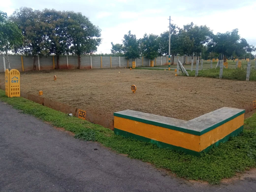 Plot