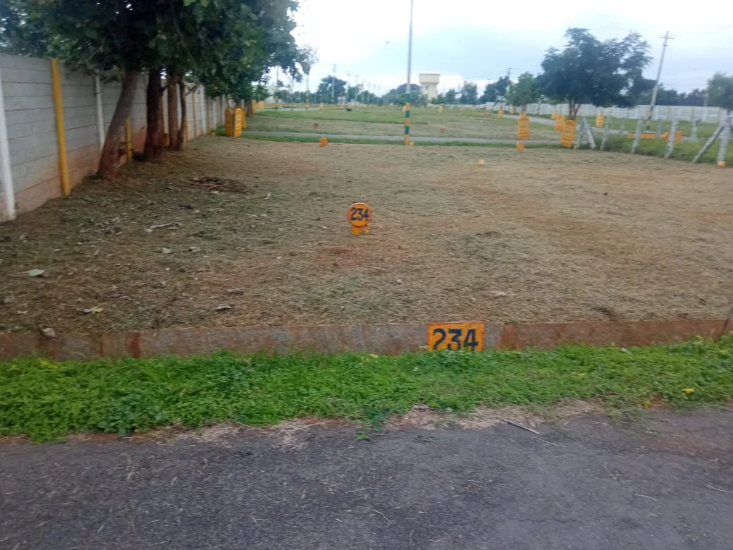 Plot