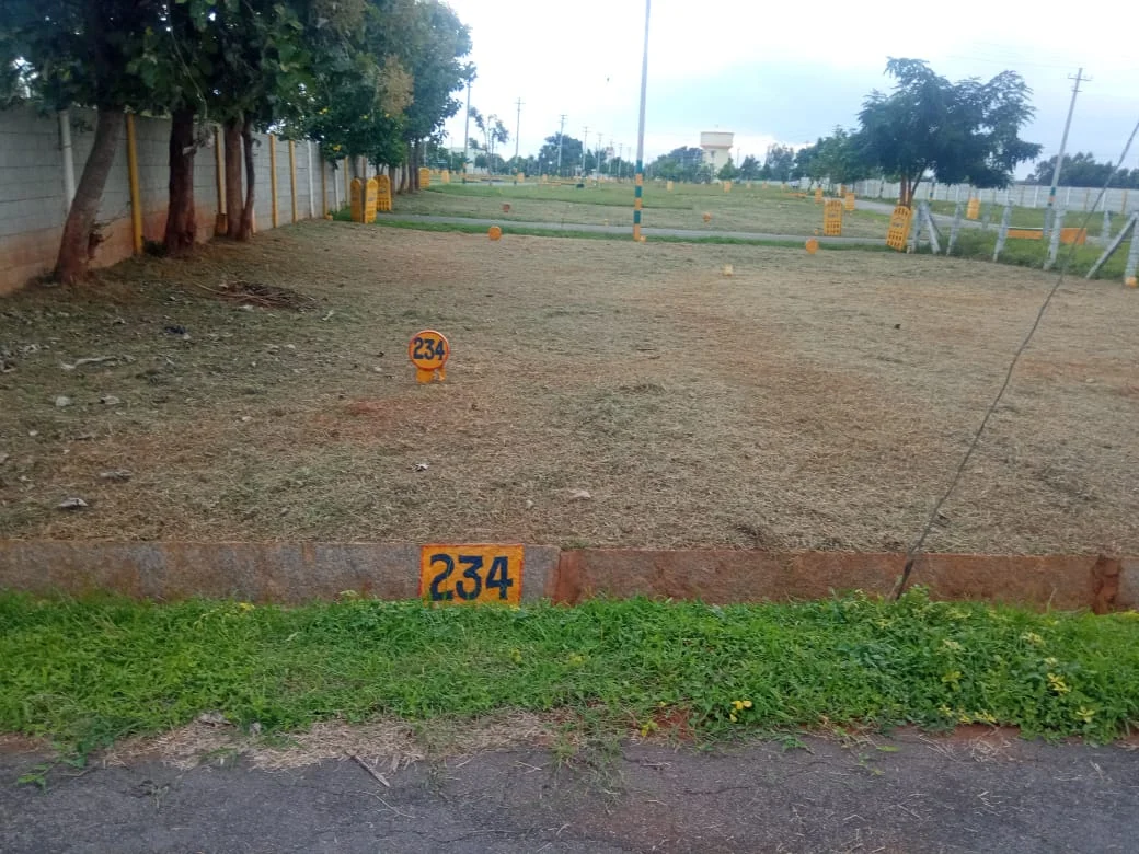 Plot