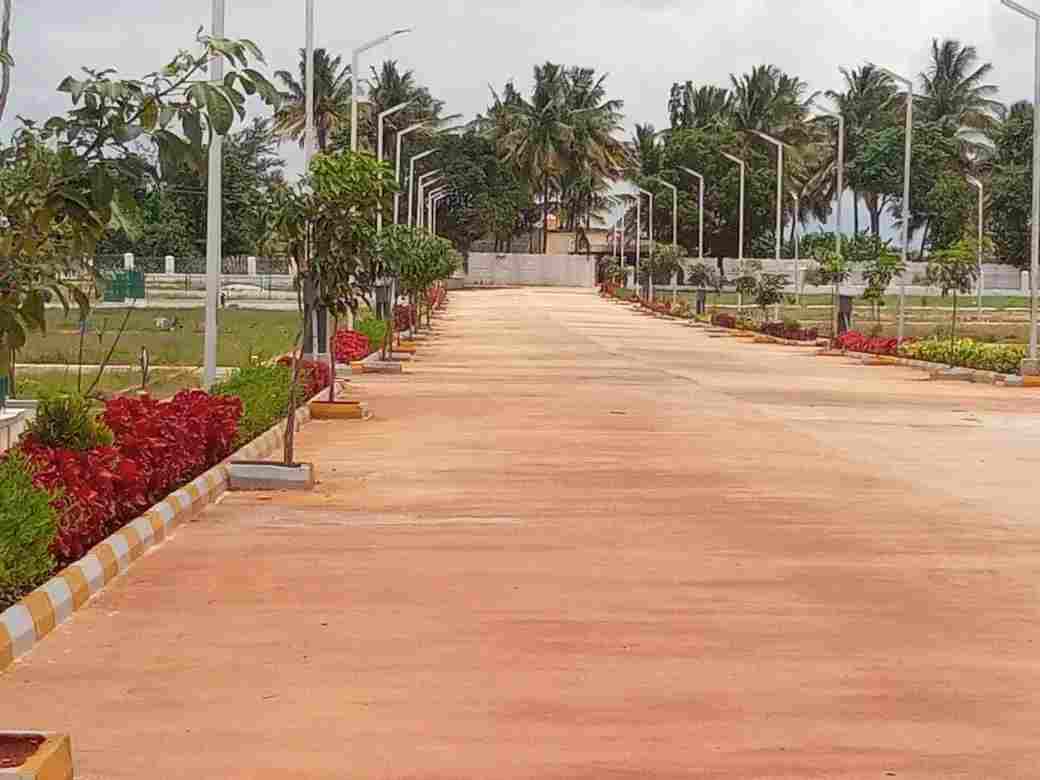 Plot View